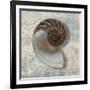 Nautilus-Ted Broome-Framed Art Print