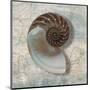 Nautilus-Ted Broome-Mounted Art Print