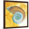 Nautilus-null-Framed Premium Giclee Print