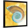 Nautilus-null-Framed Premium Giclee Print