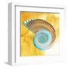 Nautilus-null-Framed Art Print