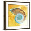 Nautilus-null-Framed Art Print