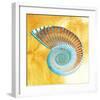 Nautilus-null-Framed Art Print