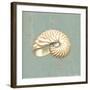 Nautilus-Lisa Danielle-Framed Art Print