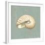 Nautilus-Lisa Danielle-Framed Art Print