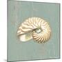 Nautilus-Lisa Danielle-Mounted Art Print