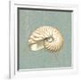 Nautilus-Lisa Danielle-Framed Art Print