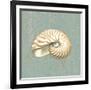 Nautilus-Lisa Danielle-Framed Art Print