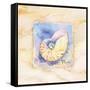 Nautilus-Paul Brent-Framed Stretched Canvas