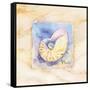 Nautilus-Paul Brent-Framed Stretched Canvas