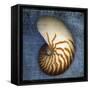 Nautilus-John W Golden-Framed Stretched Canvas