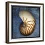 Nautilus-John W Golden-Framed Giclee Print