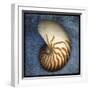 Nautilus-John W Golden-Framed Giclee Print