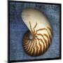 Nautilus-John W Golden-Mounted Giclee Print