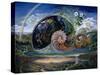Nautilus-Josephine Wall-Stretched Canvas