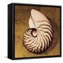 Nautilus-Caroline Kelly-Framed Stretched Canvas