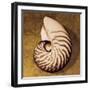 Nautilus-Caroline Kelly-Framed Photo