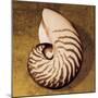 Nautilus-Caroline Kelly-Mounted Photo