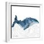 NauWhale1    whale, white background, nautical-Robbin Rawlings-Framed Art Print