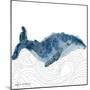 NauWhale1    whale, white background, nautical-Robbin Rawlings-Mounted Art Print