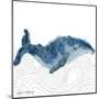NauWhale1    whale, white background, nautical-Robbin Rawlings-Mounted Art Print