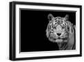 Black Frame