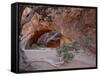 Navajo Arch, Arches National Park, Utah, USA-James Hager-Framed Stretched Canvas