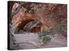 Navajo Arch, Arches National Park, Utah, USA-James Hager-Stretched Canvas