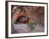 Navajo Arch, Arches National Park, Utah, USA-James Hager-Framed Photographic Print