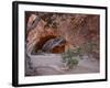 Navajo Arch, Arches National Park, Utah, USA-James Hager-Framed Photographic Print