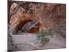 Navajo Arch, Arches National Park, Utah, USA-James Hager-Mounted Photographic Print