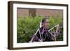 Navajo Blue Eagle Dancer Performing the Ribbon Dance at the Gallup Intertribal Ceremonials, New Mex-null-Framed Giclee Print