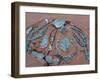 Navajo Crafts, USA-Adam Woolfitt-Framed Photographic Print