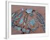 Navajo Crafts, USA-Adam Woolfitt-Framed Photographic Print