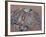 Navajo Crafts, USA-Adam Woolfitt-Framed Photographic Print