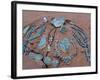 Navajo Crafts, USA-Adam Woolfitt-Framed Photographic Print
