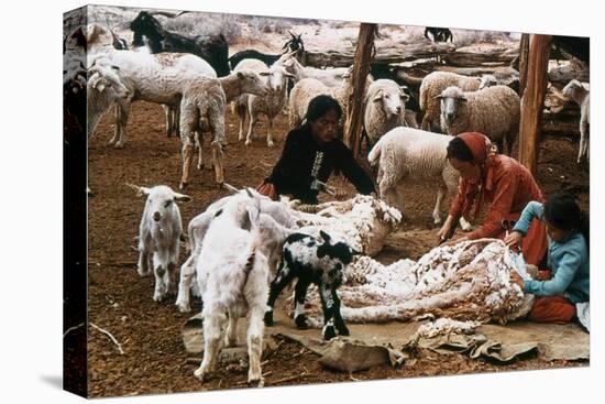 Navajo Family: Shearing-null-Stretched Canvas