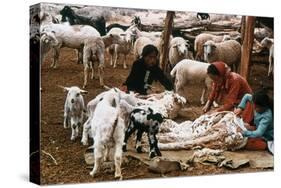 Navajo Family: Shearing-null-Stretched Canvas