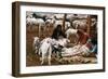 Navajo Family: Shearing-null-Framed Giclee Print