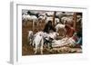 Navajo Family: Shearing-null-Framed Giclee Print