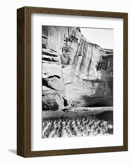 Navajo Farming-Edward S^ Curtis-Framed Giclee Print