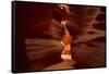 Navajo Nation, Eroded Sandstone Formations in Upper Antelope Canyon-David Wall-Framed Stretched Canvas