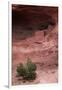 Navajo Nation, Monument Valley, Anasazi Cliff Dwelling, Mystery Valley-David Wall-Framed Photographic Print