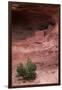 Navajo Nation, Monument Valley, Anasazi Cliff Dwelling, Mystery Valley-David Wall-Framed Premium Photographic Print