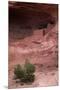 Navajo Nation, Monument Valley, Anasazi Cliff Dwelling, Mystery Valley-David Wall-Mounted Premium Photographic Print