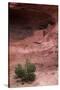 Navajo Nation, Monument Valley, Anasazi Cliff Dwelling, Mystery Valley-David Wall-Stretched Canvas