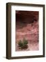 Navajo Nation, Monument Valley, Anasazi Cliff Dwelling, Mystery Valley-David Wall-Framed Photographic Print