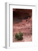 Navajo Nation, Monument Valley, Anasazi Cliff Dwelling, Mystery Valley-David Wall-Framed Photographic Print