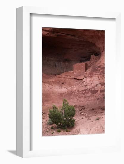 Navajo Nation, Monument Valley, Anasazi Cliff Dwelling, Mystery Valley-David Wall-Framed Photographic Print