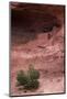 Navajo Nation, Monument Valley, Anasazi Cliff Dwelling, Mystery Valley-David Wall-Mounted Photographic Print